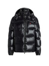 'RL' Shiny Puffer